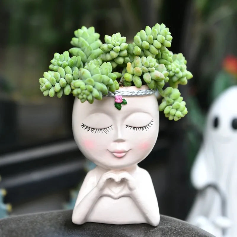 Cute Pot Plant Home Decor